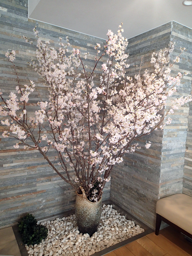 玄関桜全体